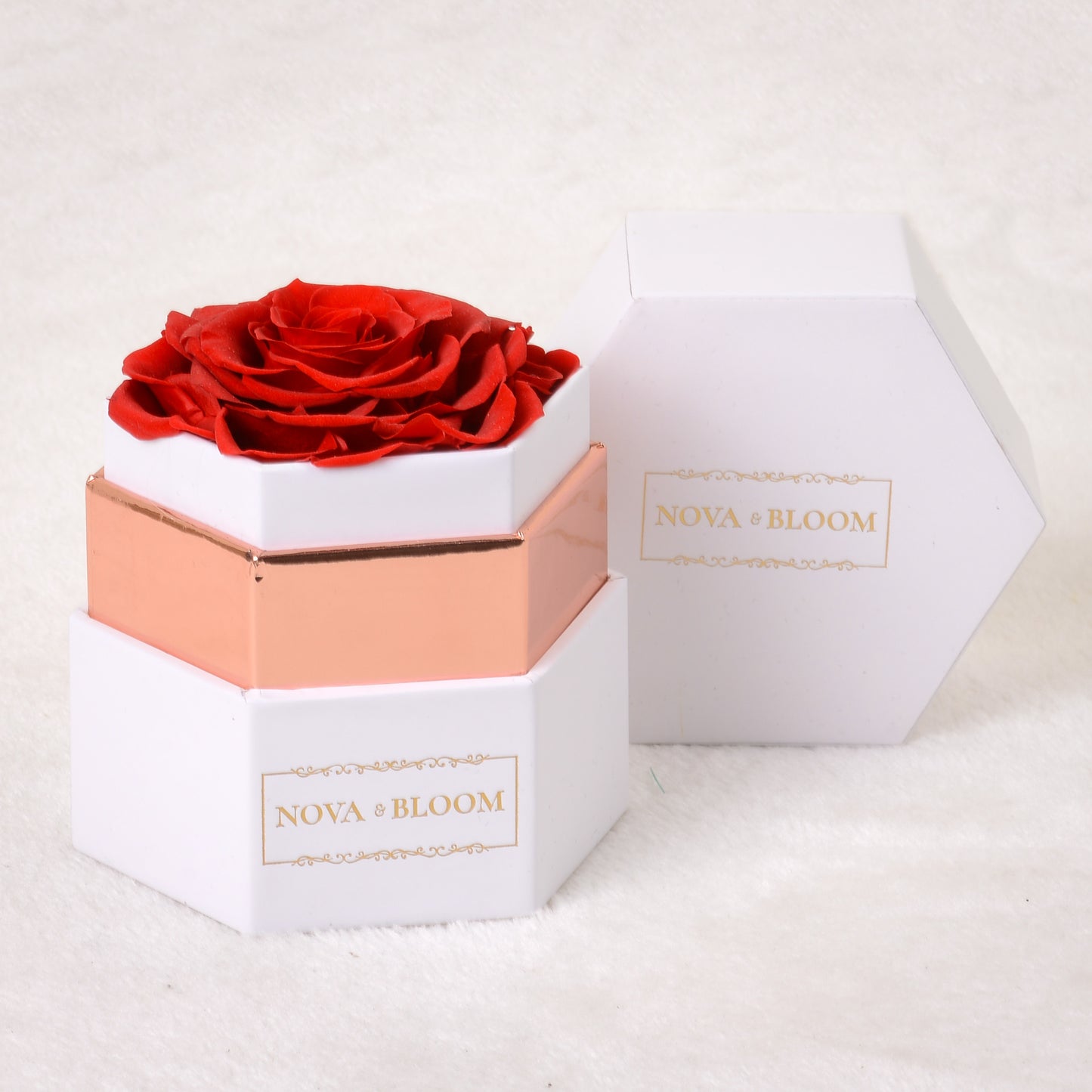 Single Hexagon Eternal Bloom - Red Preserved Rose