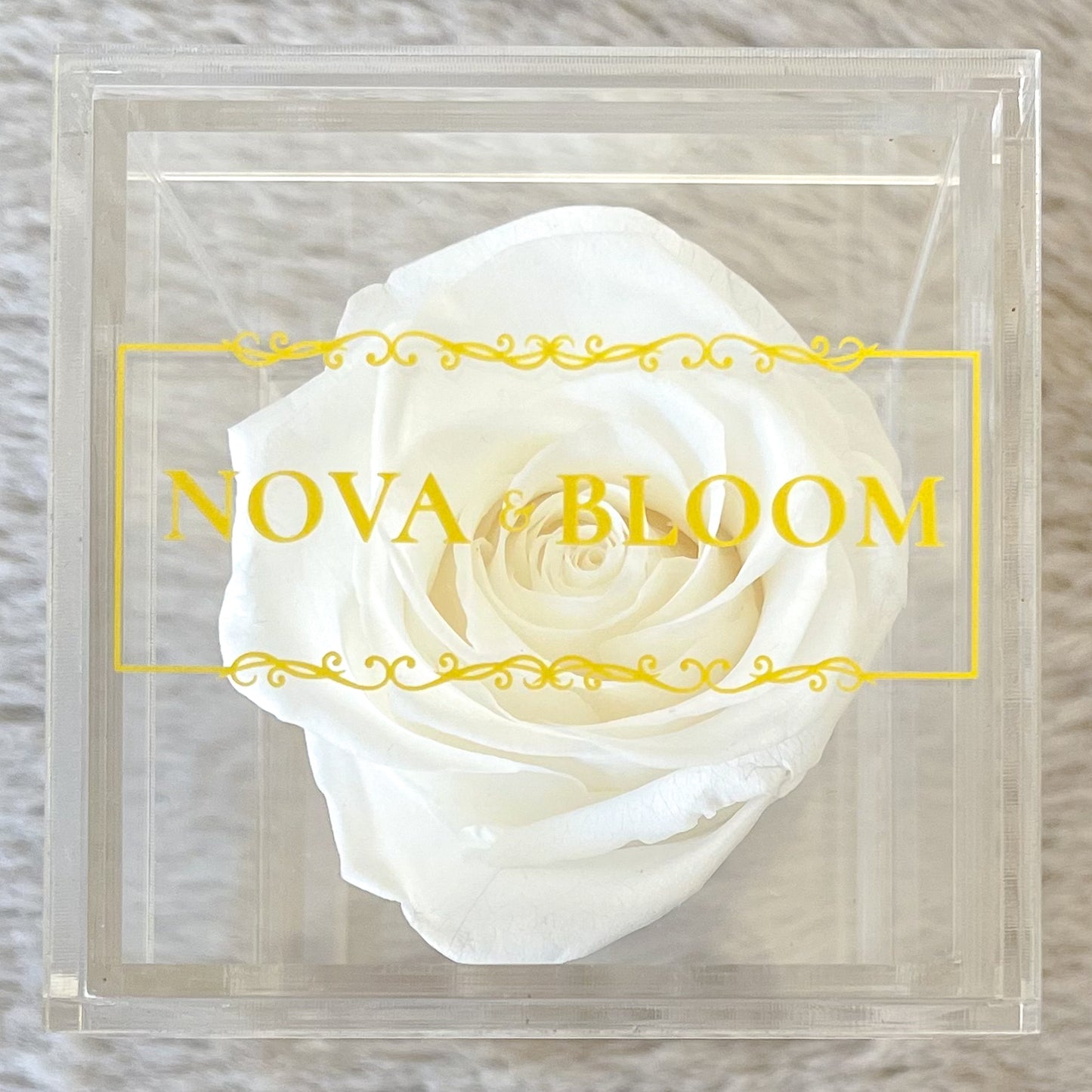Single Acrylic Jewellery Box - White Preserved Rose - Top View