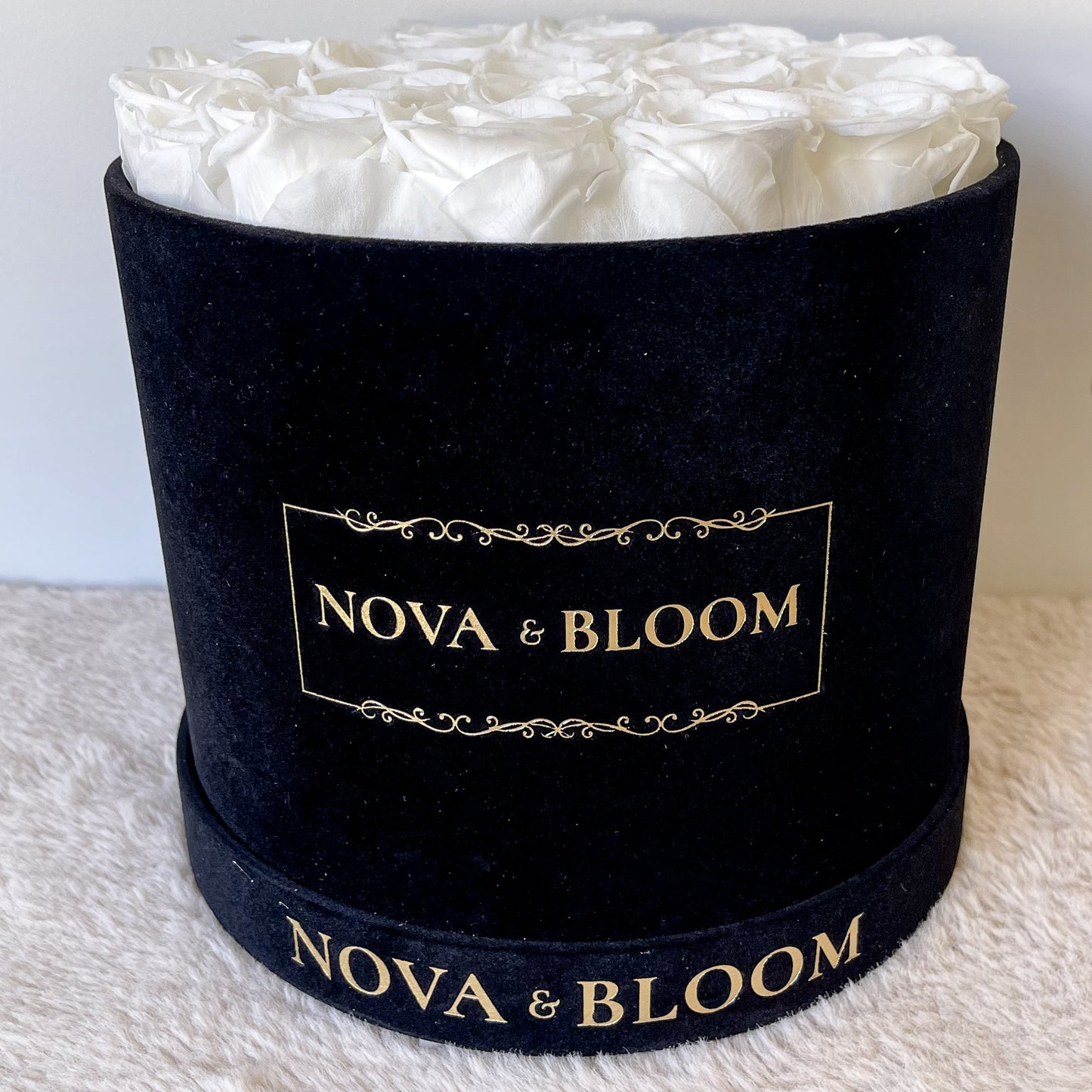 Large Black Velvet Round Arrangement - White Preserved Roses - Front View