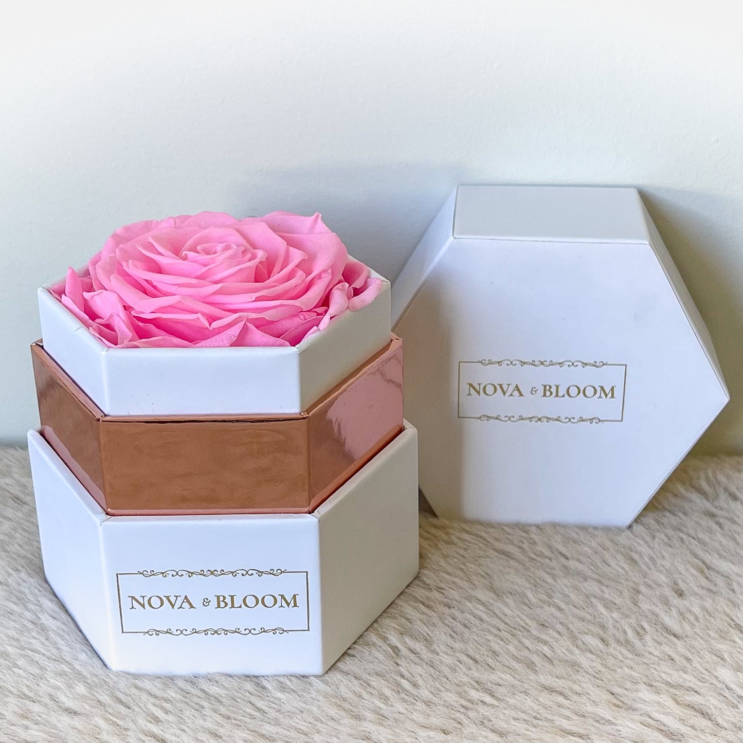 Single Hexagon Eternal Bloom - Pink Preserved Rose