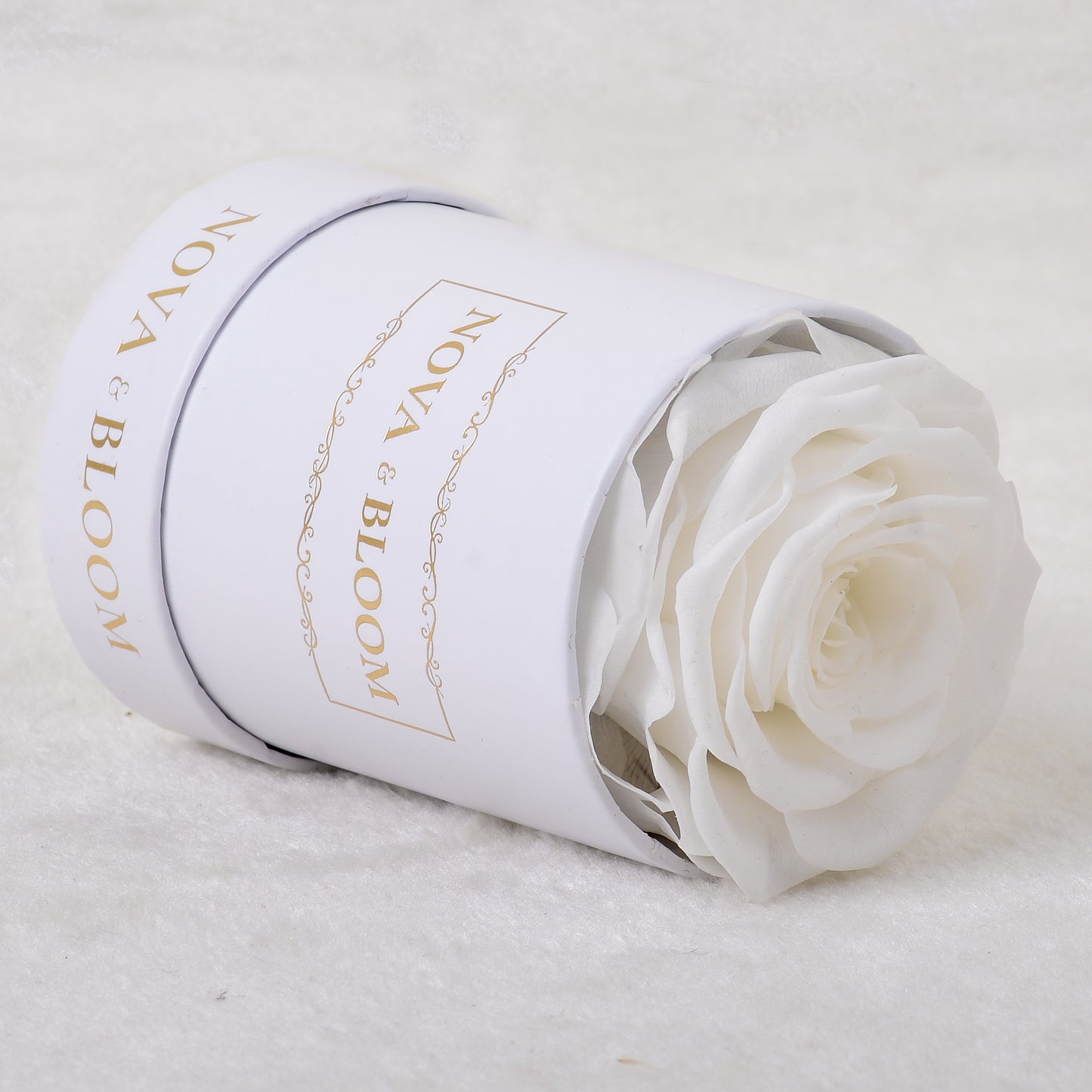 Single White Round Eternal Bloom - White Preserved Rose - Side View