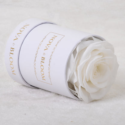 Single White Round Eternal Bloom - White Preserved Rose - Side View