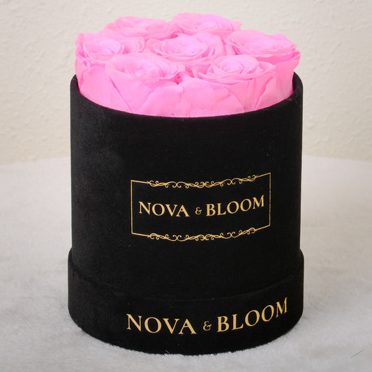 Medium Black Velvet Round Arrangement - Pink Preserved Roses - Front View