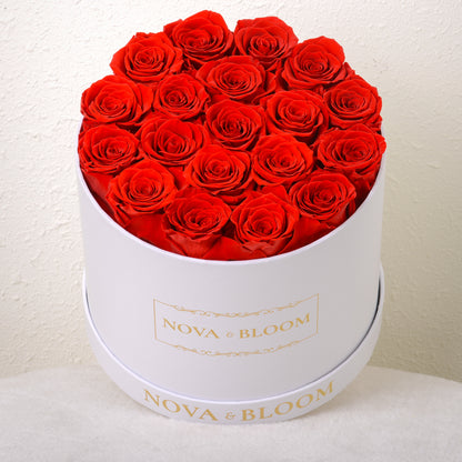 Large White Round Arrangement - Red Preserved Roses - Top View