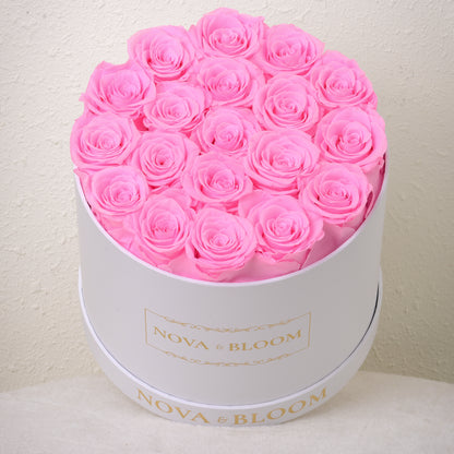 Large White Round Arrangement - Pink Preserved Roses - Top View