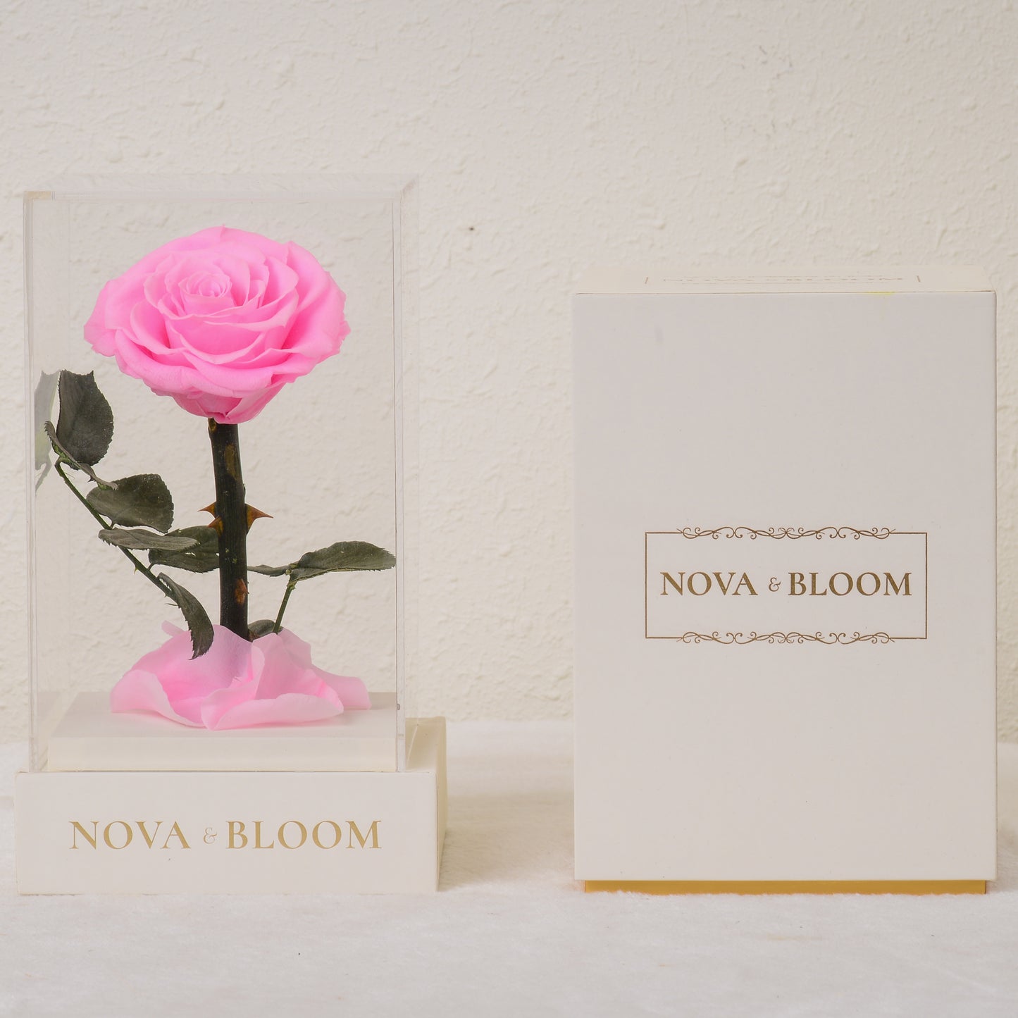 Single Stem Preserved Rose in Acrylic Box - Pink Rose - Front View With Box