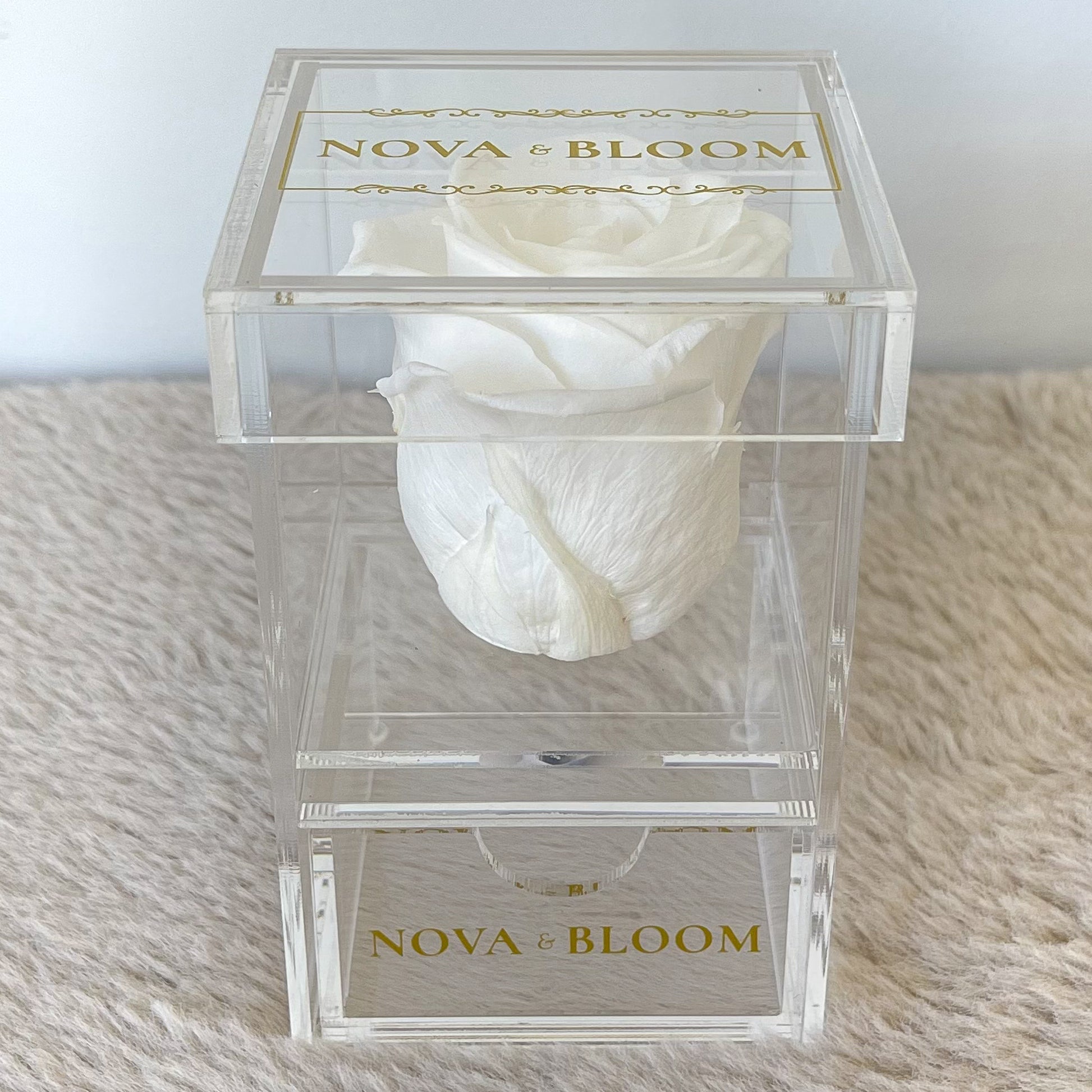 Single Acrylic Jewellery Box - White Preserved Rose - Front View 