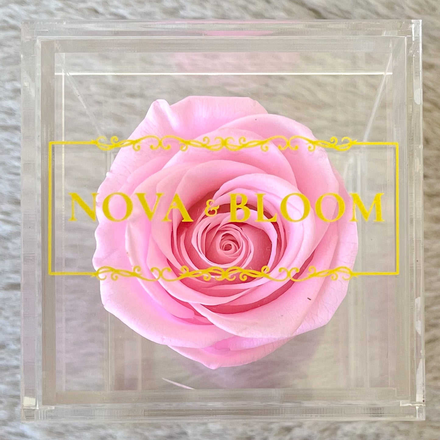 Single Acrylic Jewellery Box - Pink Preserved Rose - Top View 