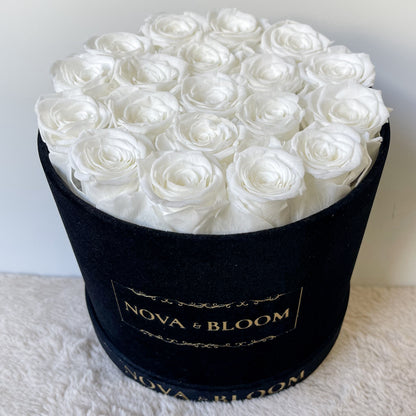 Large Black Velvet Round Arrangement - White Preserved Roses - Angle Top View