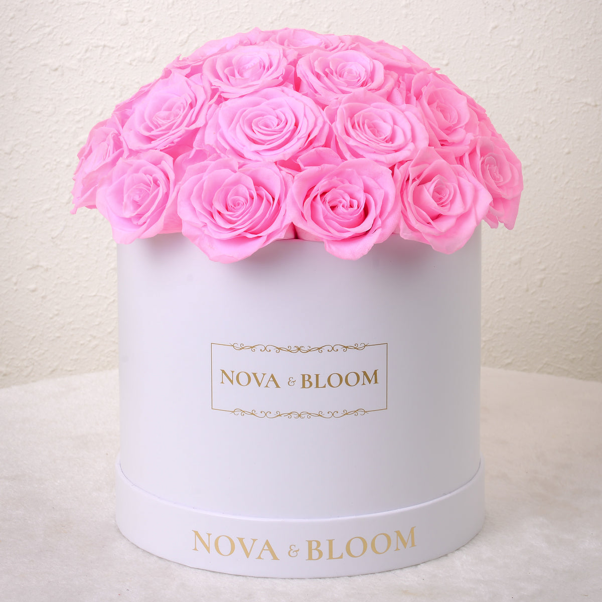 Dome White Roses White Dome Eternal Blooms | Pink Roses – Nova & Bloom