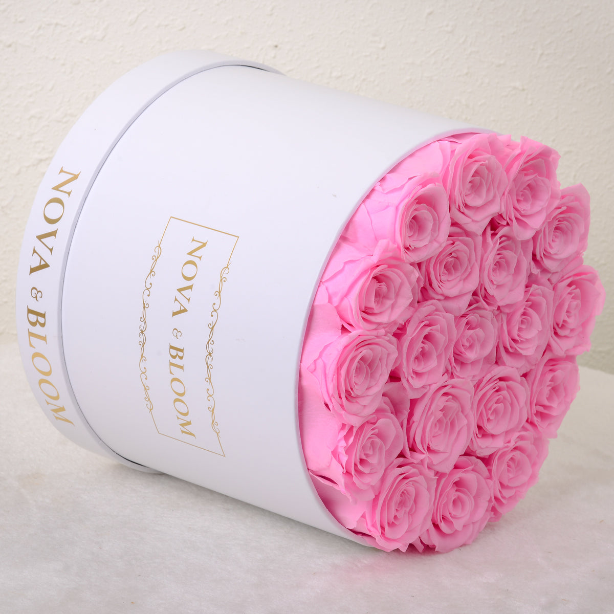 Round Shaped Roses Large White Round Eternal Blooms | Pink Roses – Nova & Bloom