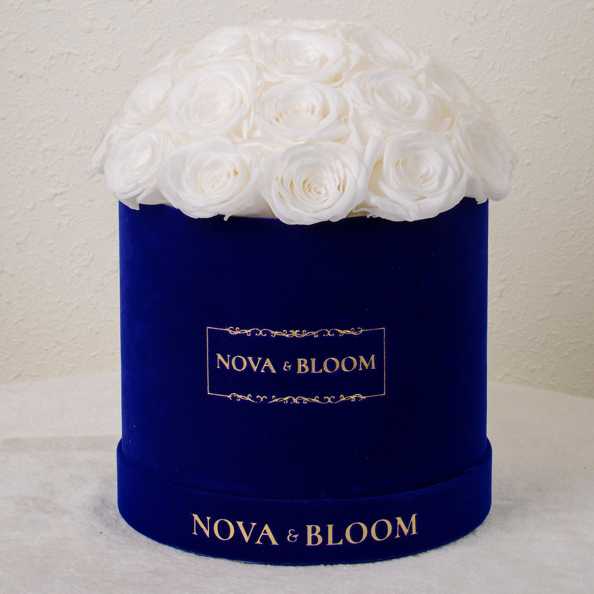 Dome White Roses Blue Velvet Dome Eternal Blooms | White Roses – Nova & Bloom